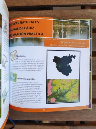 Humedales de Cádiz: Veinte años de conservación