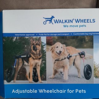 Sedia a rotelle auto-regolabile per cani di grossa taglia