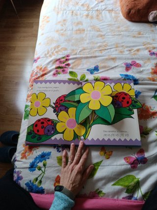 Cuento infantil con animales desplegables