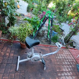 Bicicleta Estática Antigua
