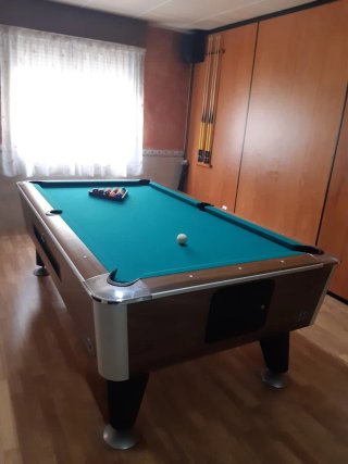 Mesa de billar profesional