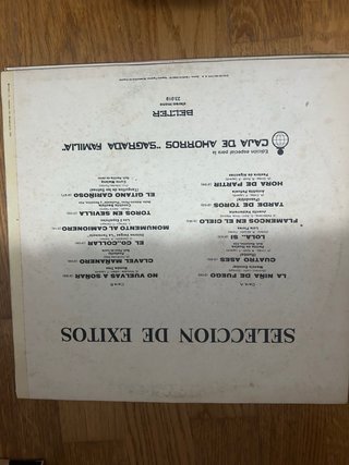 Lote 9 Vinilos Variados