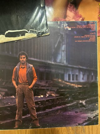 Lote 9 Vinilos Variados