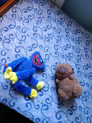 Peluche