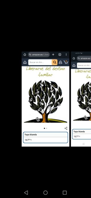 Liberarse del destino Familiar, Primera Edición