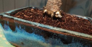 FIGURITA PARA BONSAI
