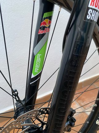 Orbea Alma M50 Carbono 29