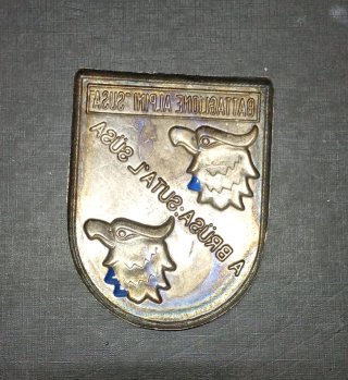 Insignias y llaveros militares