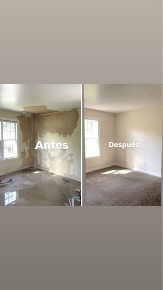 Pintor profesional económico de casas y pisos