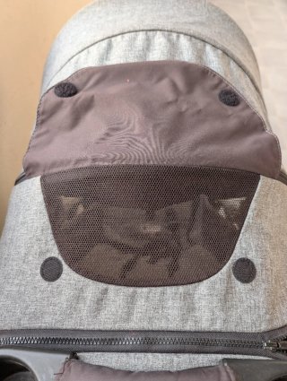 Carro de paseo Joie gris