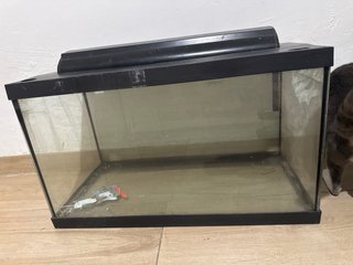 Pecera para peces o insectos