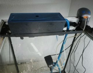Acuario 500 Litros