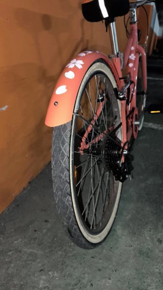 Bicicleta infantil RIVERSIDE rosa