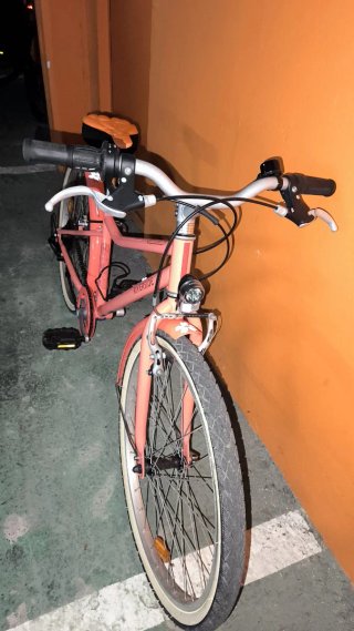 Bicicleta infantil RIVERSIDE rosa