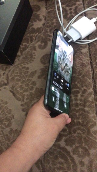 iPhone 11 Pro Max 256GB verde notte