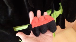 Albornoz Negro Desdentado