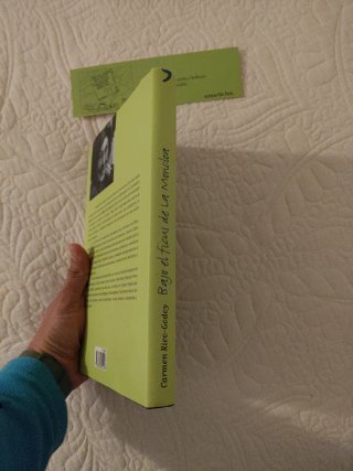 Libro bajo el ficus de la Moncloa
