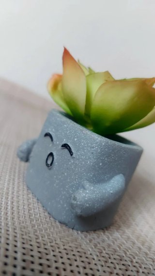 Mini Maceta Suculenta