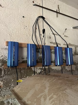 Foco + Balastro Horticultura