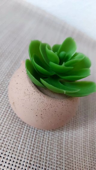 Mini Maceta Suculenta Yeah