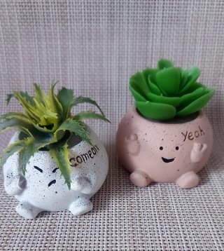 Mini Maceta Suculenta Yeah