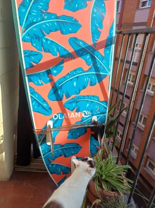 Tabla de surf Olaian 7'8, 75L