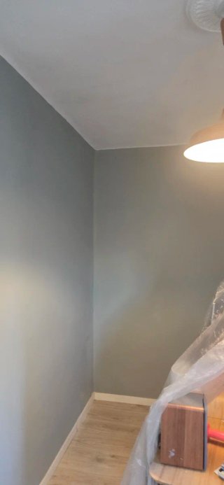 Pintor profesional y economico