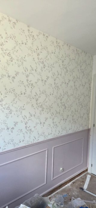Pintor profesional y economico