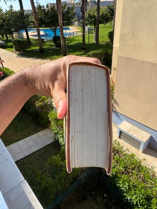 El señor de los anillos