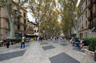 Piso en alquiler en La Seu - Cort - Monti-sión en Palma de Mallorca