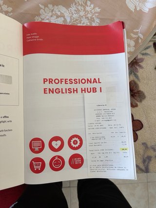 Professional English Hubi
