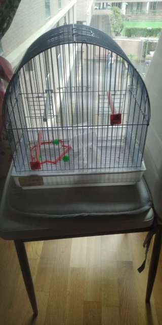 Jaula para pájaros negra y transparente