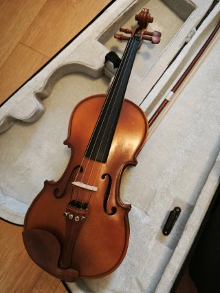 Violín 1/2