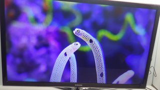 Samsung Smart TV de 40 pulgadas