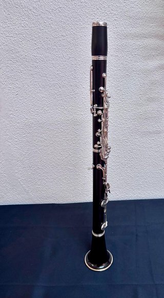 Clarinete RC Green line Buffet Crampon Garantía