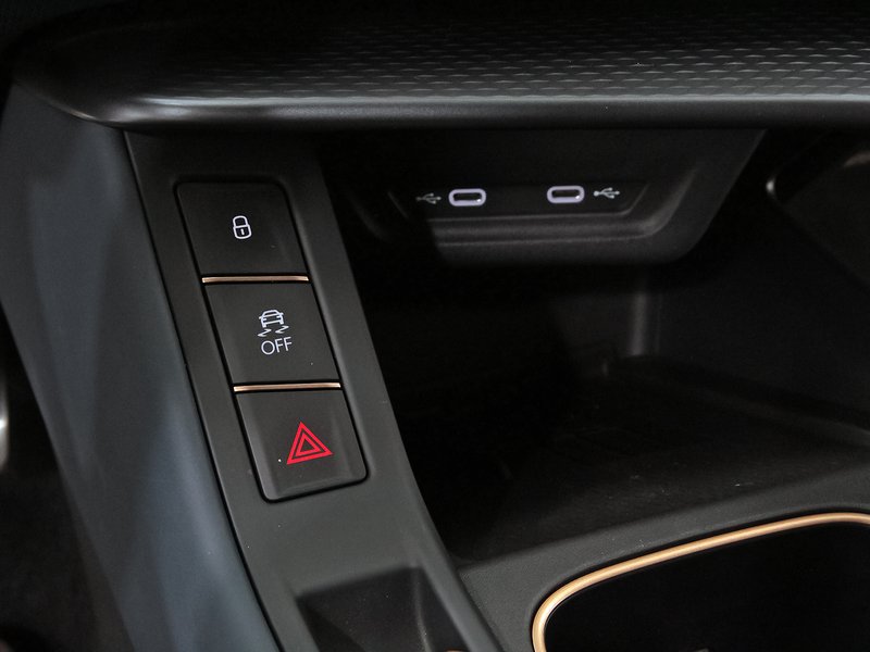 Cupra Terramar 2025, foto 34