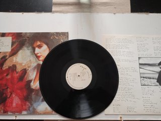 Vinilo Enya - Enya