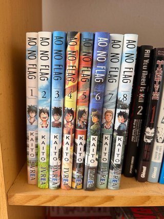 Ao no flag - colección completa