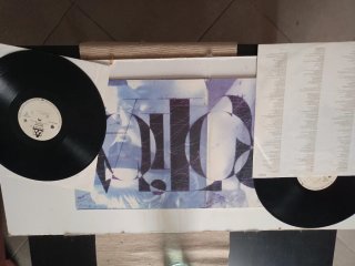 Vinilo Madonna Erotica