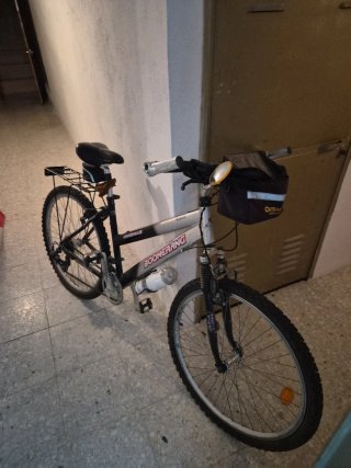 Bicicleta Boomerang