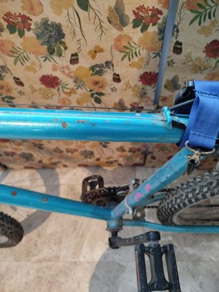 Bicicleta de montaña de color azul y otra roja 70€