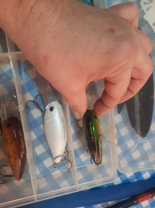 Caña de casting Crankbait Sakura+ deep monster 800