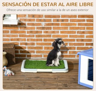 Box per cani con erba sintetica