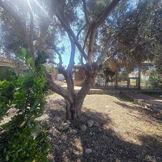 Terreno en venta en Nuevo Bulevar en Mairena del Aljarafe