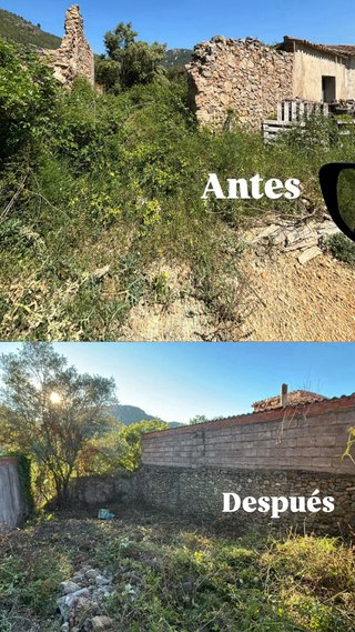 Limpieza y desbroce de fincas y parcelas