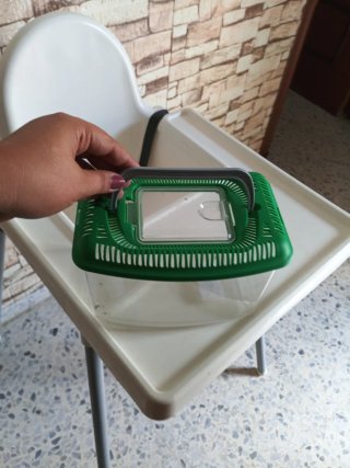 Pecera pequeña verde y transparente