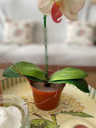 Orquídea Decorativa Artificial