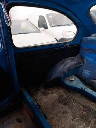 Despiece Seat 600 (110B) 1970
