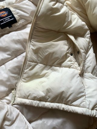 Piumino Dickies Glacier View Irish Cream