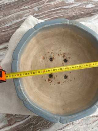 Maceta grande bonsai cerámica